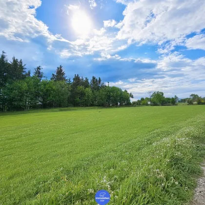 Panorama Hills - Grundstück in bester Lage - Bild 2