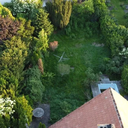 Baugrundstück mit großen Garten in unmittelbarer Nähe zur U1 Kagraner Platz  + Baubewilligt für ein Wohnhaus mir ca. 500 m2 Wohnfläche, Garage, Terrasse & Balkon! ++ Altbestand mit Pool - Bild 2