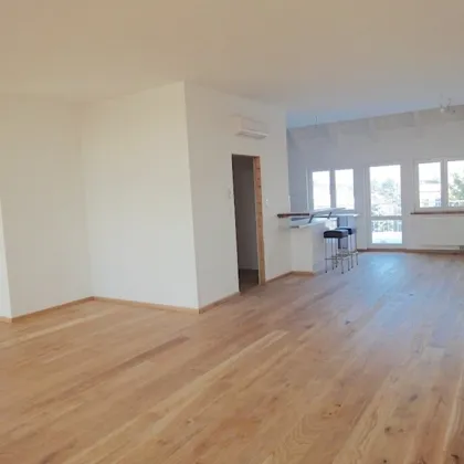 Luxuriöses Penthouse mit Dachterrasse (110 m²) in Toplage - 218m² Wohnfläche in 1. Etage nähe Uno-City um 1.500.000,00 € - Bild 2