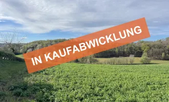 Grundstück (ca. 1,2 ha) mit traumhaften Ausblick