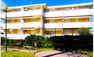 FERIENAPPARTMENT "AMBRA" IN BIBIONE PINEDA