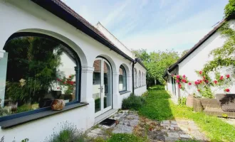 Architektonisch Modernes,  Einfamilienhaus im Streckhof-Stil am Neusiedler See im Burgenland