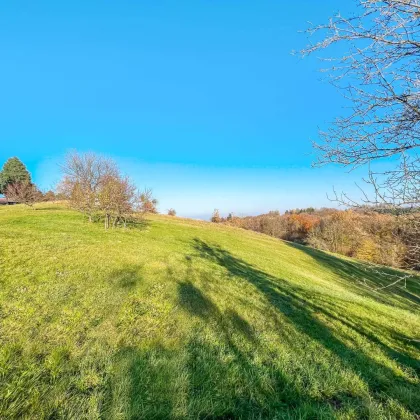 Naturnahes Wohnbau-Grundstück. - Mit Wald-Anteil. - 5 Min. vor Jennersdorf. - Bild 2