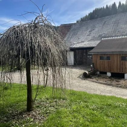 2,7 ha Landwirtschaft mit Holzblockhaus u. Stallgebäude - Bild 3