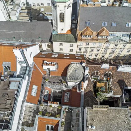 EXKLUSIVE DG WOHNUNG IM HISTORISCHEN PALAIS - LUXUSAUSSTATTUNG, DACHTERRASSE, RUHELAGE - Bild 2