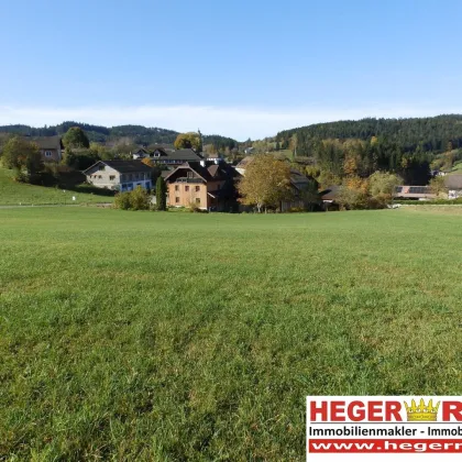 WOHNEN IM PARADIES - WEG VOM STADTLÄRM AUF 10.354m² GRUND - TIERHALTUNG - ZIMMERVERMIETUNG - Bild 3