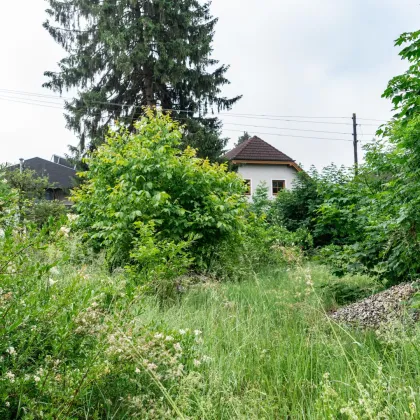 Grundstück  mit genehmigten Bauplan für 6 Wohneinheiten in Kleimünchen - Bild 3