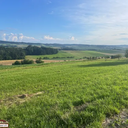 suchen sie das Besondere? Baugrund mit unverbaubarem Fernblick in sonniger Lage ! - Bild 2