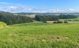 suchen sie das Besondere? Baugrund mit unverbaubarem Fernblick in sonniger Lage !