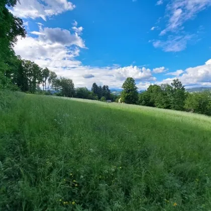 Naturliebhaber aufgepasst: Landwirtschaftliche Hofstelle möchte wieder wachgeküsst werden - Bild 3