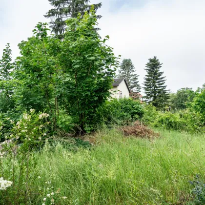 Traumgrundstück in Linz: Perfekter Baugrund für Ihr Eigenheim - Bild 3