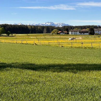 Altenmarkt an der Alz: Sonniges, unverbaubares Baugrundstück mit Bergpanoramablick! - Bild 2