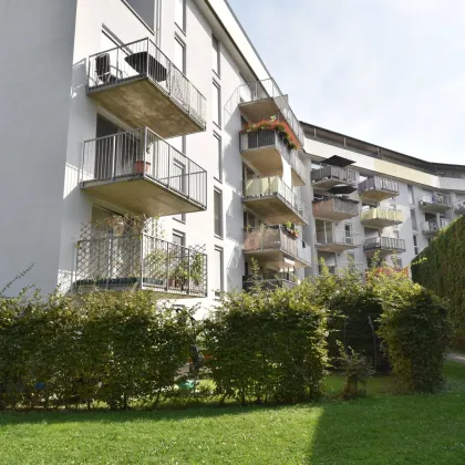 Ihr Ruhepol wartet schon auf Sie, eine süße, schnuckelige Wohnung geeignet für zwei Personen, in 8020 Graz - zu mieten! - Bild 2
