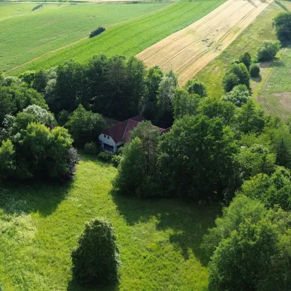 Weitläufiges Anwesen im Wienerwald auf 17.900 m² Grundstücksfläche mit Privatsee und Hallenbad! - Bild 2