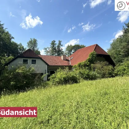 Weitläufiges Anwesen im Wienerwald auf 17.900 m² Grundstücksfläche mit Privatsee und Hallenbad! - Bild 3
