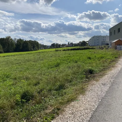 Erstbezug in idyllischer Lage - Traumimmobilie in St. Marien, Oberösterreich - Haus 3 - Bild 3