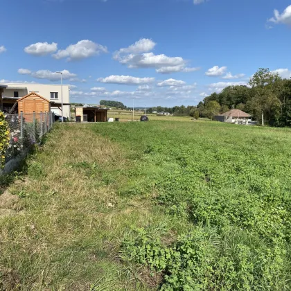 Erstbezug in idyllischer Lage - Traumimmobilie in St. Marien, Oberösterreich - Haus 3 - Bild 2