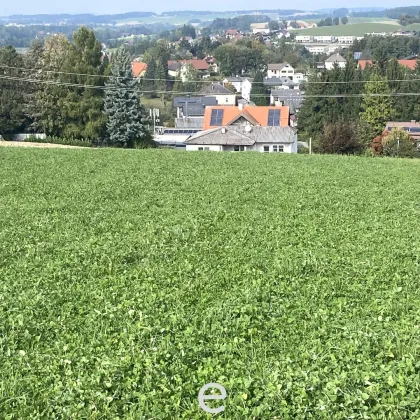 6 Bauparzellen in TOP-Lage in Eberschwang - Bild 3