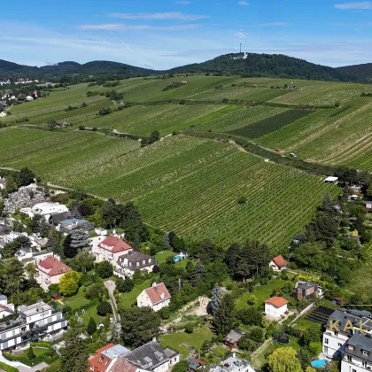 Baugenehmigtes Grundstück am Döblinger Nussberg - Bild 2