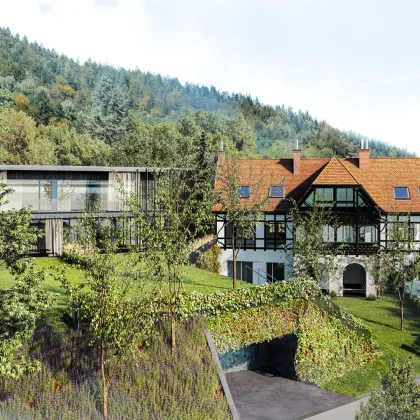 Für Altbau-Liebhaber (nicht barrierefrei!) - Villa Gritzenweg, geschichtsträchtiges Winzerhaus mit fantastischem Stadt-/Schlossbergblick! - Bild 3