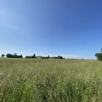 Traunsteinblick: Baugrund in der Gemeinde Steinerkirchen an der Traun/Linden - Bild 2