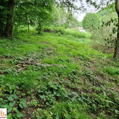 Tolles Grundstück im Gemeindegebiet von Klosterneuburg! - Bild 3