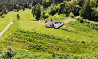 Traumhaftes Grundstück in erhöhter Lage am Waldrand in Krieglach