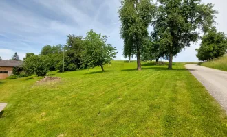 Ein Bauernhoftraum im Innviertel - Perfekte Kombination aus 17 ha Landwirtschaft und Wohnen!