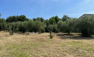 Sehr schöne und ruhige Lage, Lage, Lage - eines der letzten Baugrundstücke in Kastelir mit Meerblick