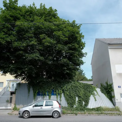 bewilligtes Neubauprojekt (ca. 750m² Wohnnutzfläche) nähe Zentralfriedhof - Bild 2