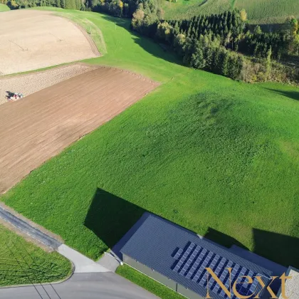 Ca. 3.000m² großes Grundstück in Altenfelden zu verkaufen! - Bild 3