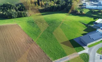 Ca. 3.000m² großes Grundstück in Altenfelden zu verkaufen!