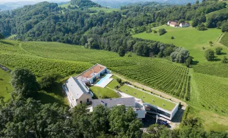 SÜDSTEIERMARK: Stilvolles Apartment mit Weinbergblick - ATTRAKTIVES INVESTMENTOBJEKT