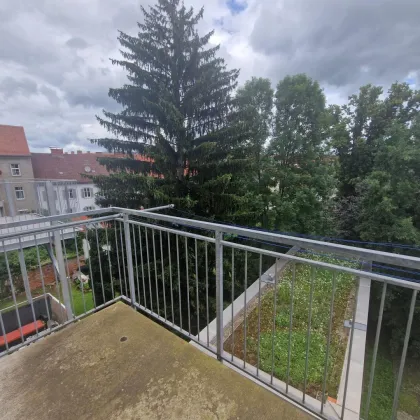 Glacisstraße 5 Top 10 - WG taugliche 4 Zimmerwohnung mit Balkon in Top Lage - Bild 2