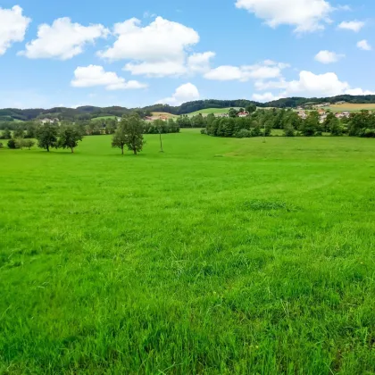 Ihr Platz für ein Traumhaus. - Naturnahes Wohnbau-Grundstück zwischen Mattighofen und Ried. - Bild 2