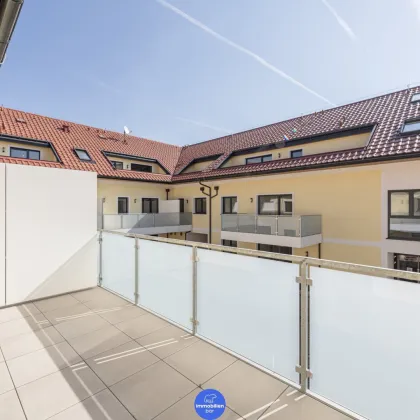 Wohnen am Seerosenufer- ERSTBEZUG moderne Wohnung mit Balkon - A06 in Eferding/Pupping - Bild 3
