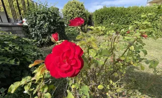 Großhöflein: Einfamilienhaus mit viel Potential und großem Grundstück in idyllischer Weinregion!