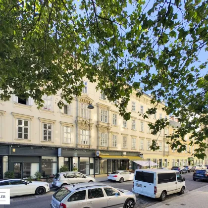 Dachmaisonette mit Terrasse und Taumblick nähe Schlossquadrat! - Bild 3