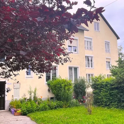 Ruhige Lage mit Grünblick! 3-Zimmer Wohnung – in 10 Minuten am Stephansplatz – Gartenbenützung! - Bild 2