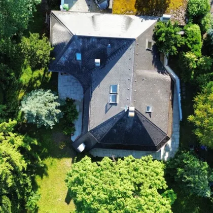 !!! NEUER PREIS !!! in der LOHNSTEINSTRAßE, die ehemalige Villa von Johannes Heesters in Perchtoldsdorf - Bild 3