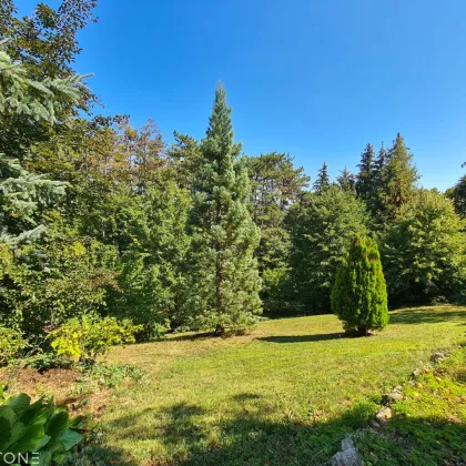 Wunderschönes Mehrfamilienhaus in Berndorf zu Verkaufen - Bild 3