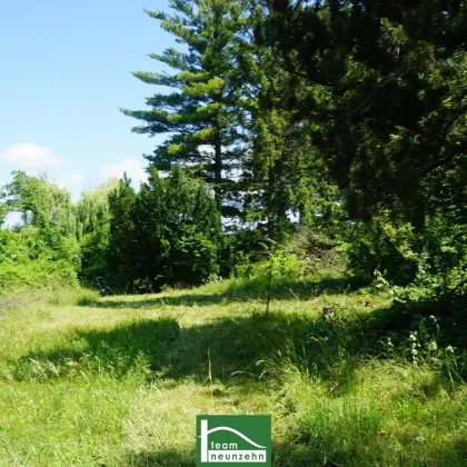 Einmaliges Baugrundstück (aufgeschlossen, ohne Bauzwang) in wunderschöner Lage mit Altbestand. - Bild 3