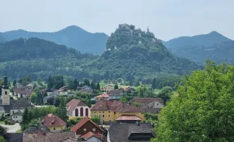 BAUGRUND MIT HERRLICHER, UNVERBAUBARER AUSSICHT AUF HOCHOSTERWITZ!