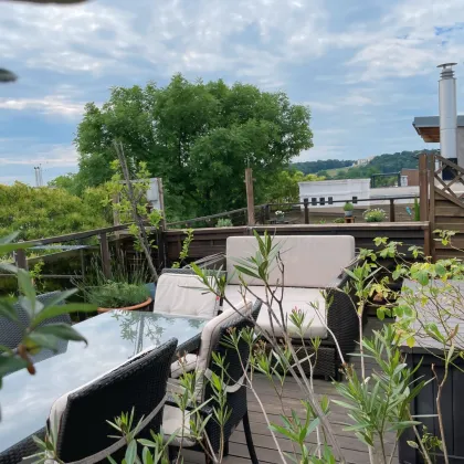 DACHTERRASSEN-MAISONETTE - mit einzigartigem Direktblick auf die Gloriette - Bild 3