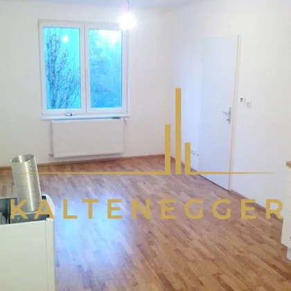 Perfekte Anlagewohnung - Bild 3