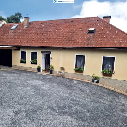 Charmantes Bauernhaus im Südburgenland mit ca 9000 m² Grundstück - Bild 2