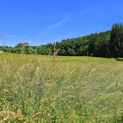 Wunderschönes, sonniges Grundstück am Ende einer Sackgasse! - Bild 3