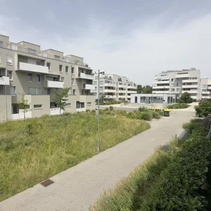 Nächst VetMed: Wohnung in familienfreundlicher Wohnanlage mit Tiefgaragenplatz - Bild 2