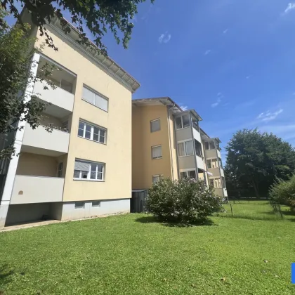 Charmante 2 - Zimmer Wohnung mit Garten und Loggia in Ruhelage Nähe Klopeiner See - Bild 2