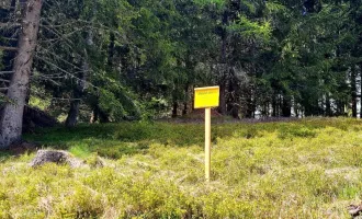 Traumhaftes Baugrundstück in St. Anna am Lavantegg – Natur pur und bereit für Ihr Traumhaus!